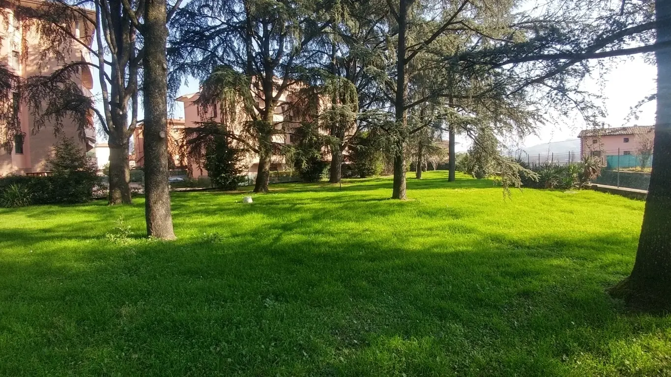 Immagine per Villa in vendita a Vignola via Papa Giovanni Paolo Ii 10