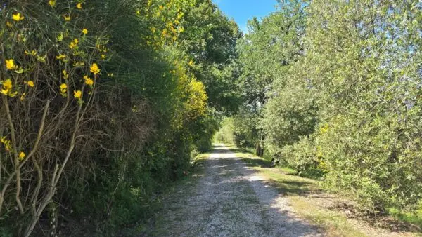 Casale via Delle Piane Snc, Castel Viscardo