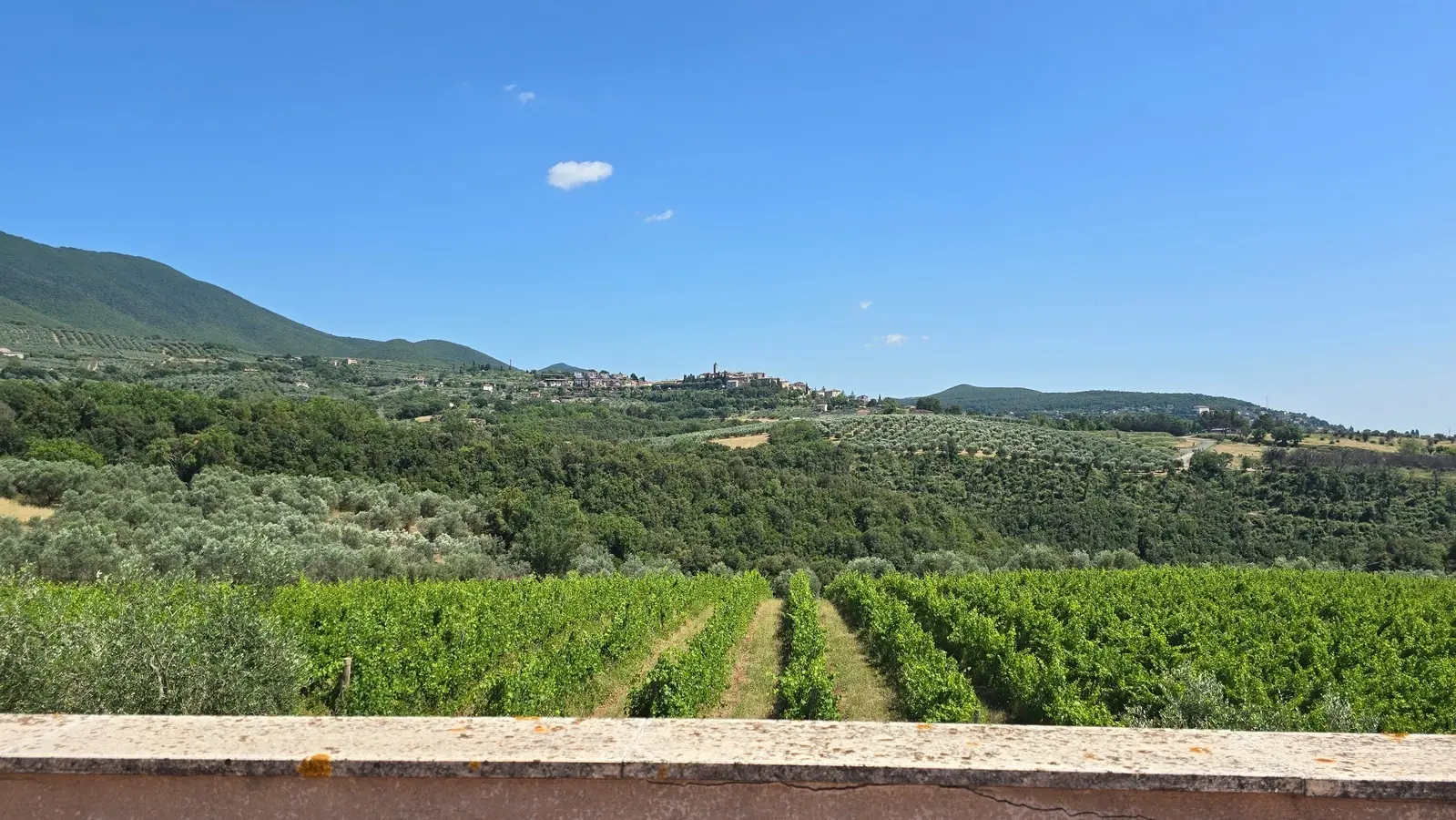 Immagine per Villa trifamiliare in vendita a Montecchio via Pilli snc