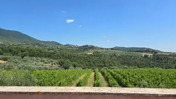 Villa Trifamiliare via Pilli Snc, Montecchio