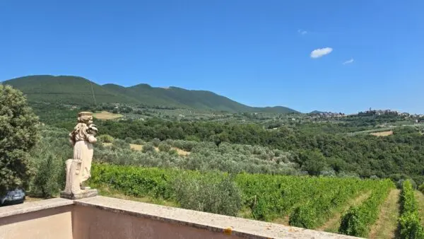 Villa Trifamiliare via Pilli Snc, Montecchio