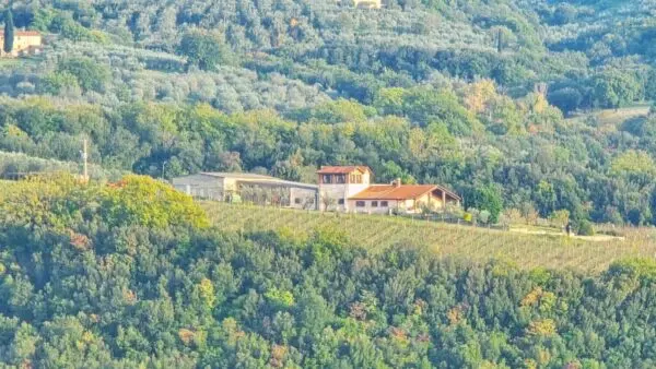 Villa Trifamiliare via Pilli Snc, Montecchio
