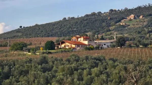 Villa Trifamiliare via Pilli Snc, Montecchio