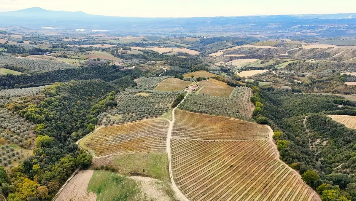 Immagine per Villa trifamiliare in vendita a Montecchio via Pilli snc
