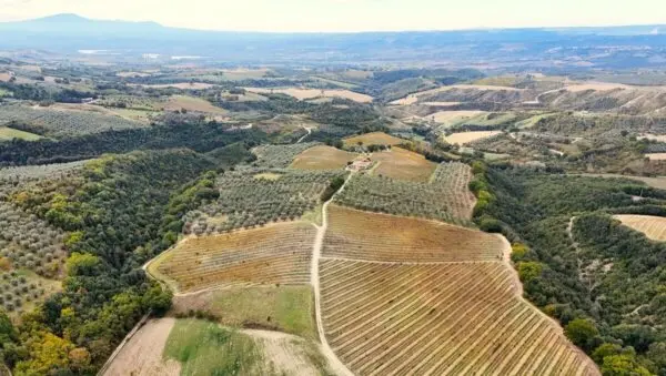 Villa Trifamiliare via Pilli Snc, Montecchio