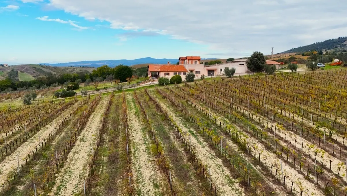 Immagine per Villa trifamiliare in vendita a Montecchio via Pilli snc