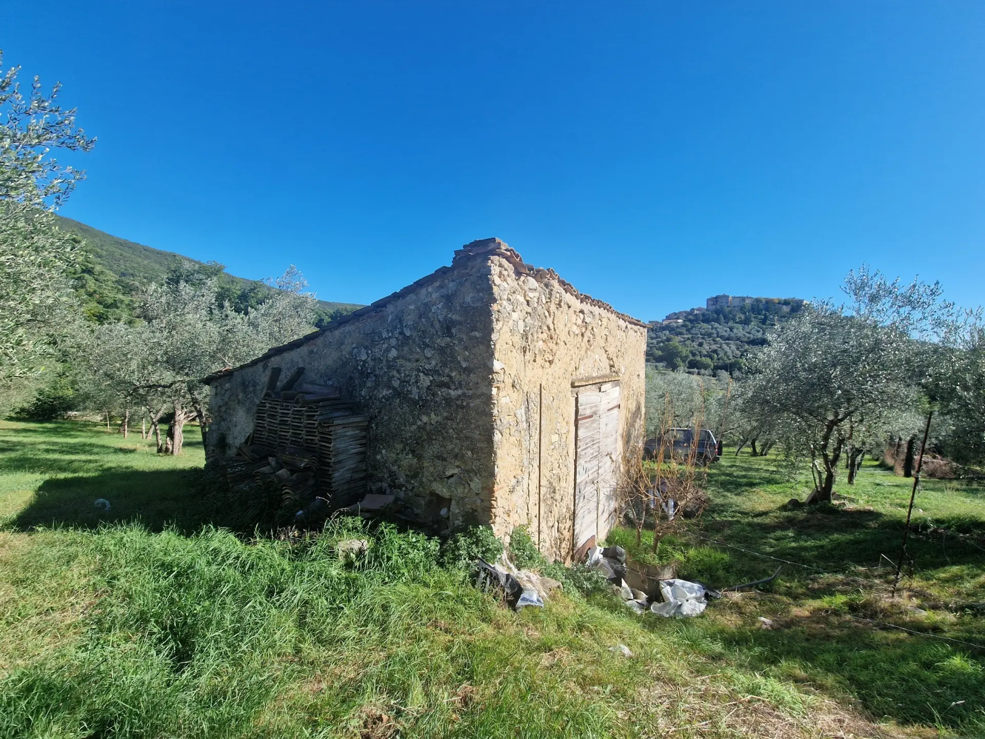 Immagine per Villa in vendita a Lugnano in Teverina