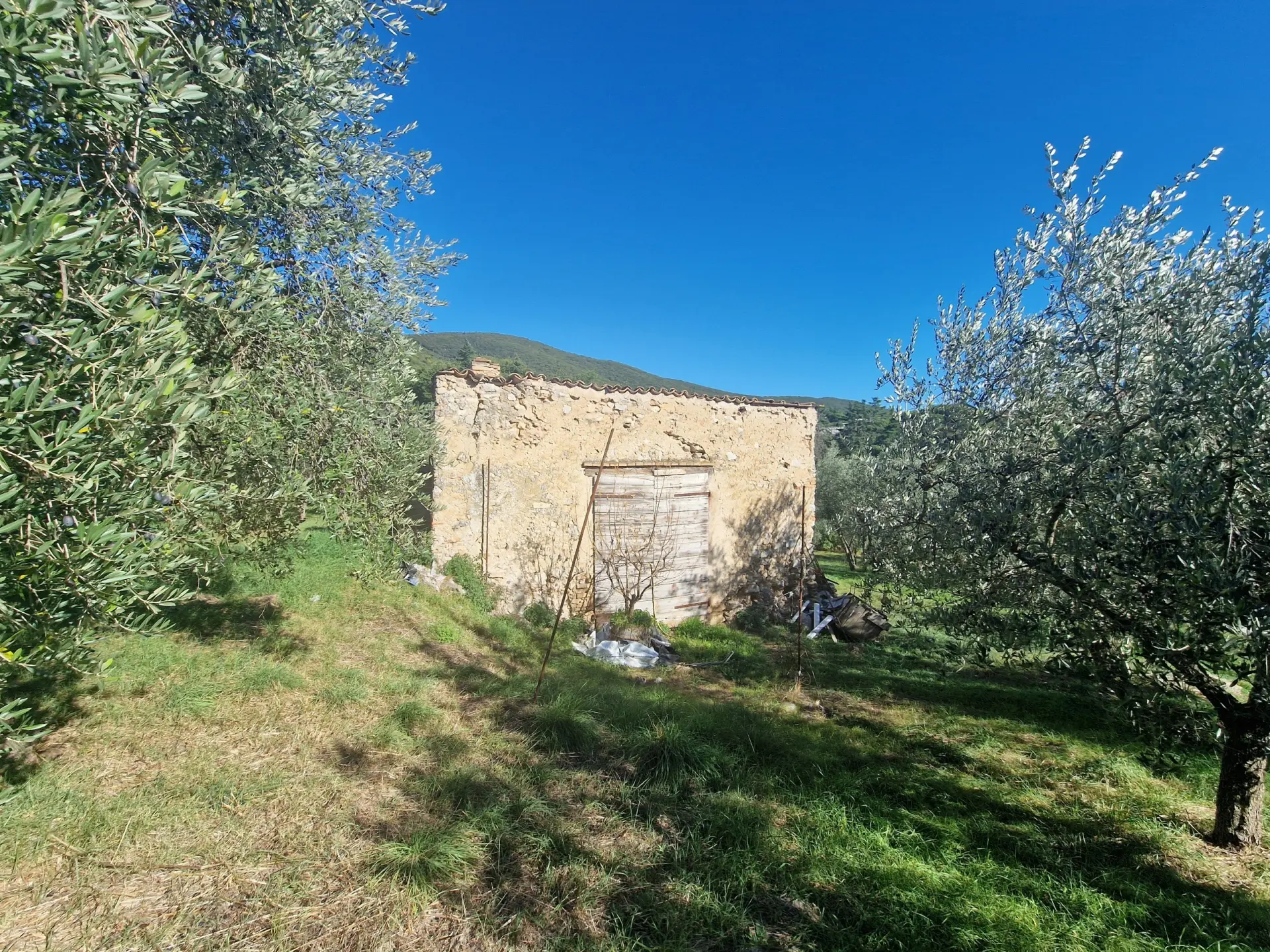 Immagine per Villa in vendita a Lugnano in Teverina