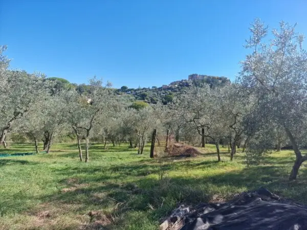 Villa Lugnano In Teverina