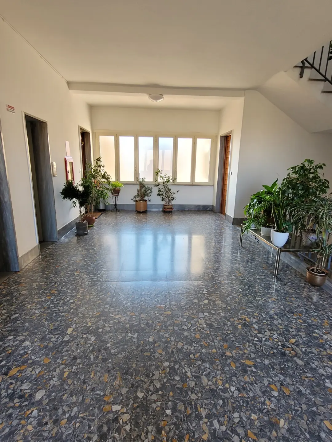 Immagine per Quadrilocale in Vendita a Torino Via Sospello 173