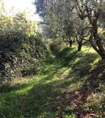 Casale via Contrada Ragnola, San Benedetto Del Tronto
