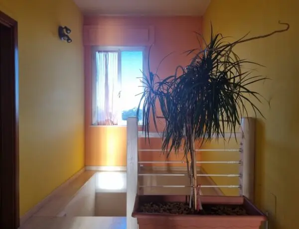 Casa Indipendente via Contrada Vignoli 16, Cugnoli