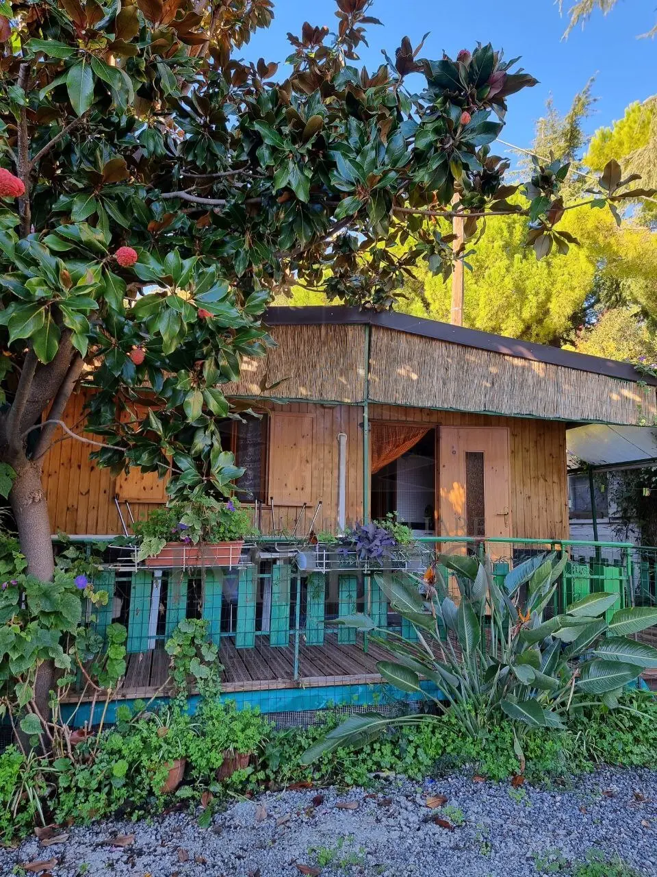 Immagine per Villa in vendita a Ventimiglia corso Nizza 107