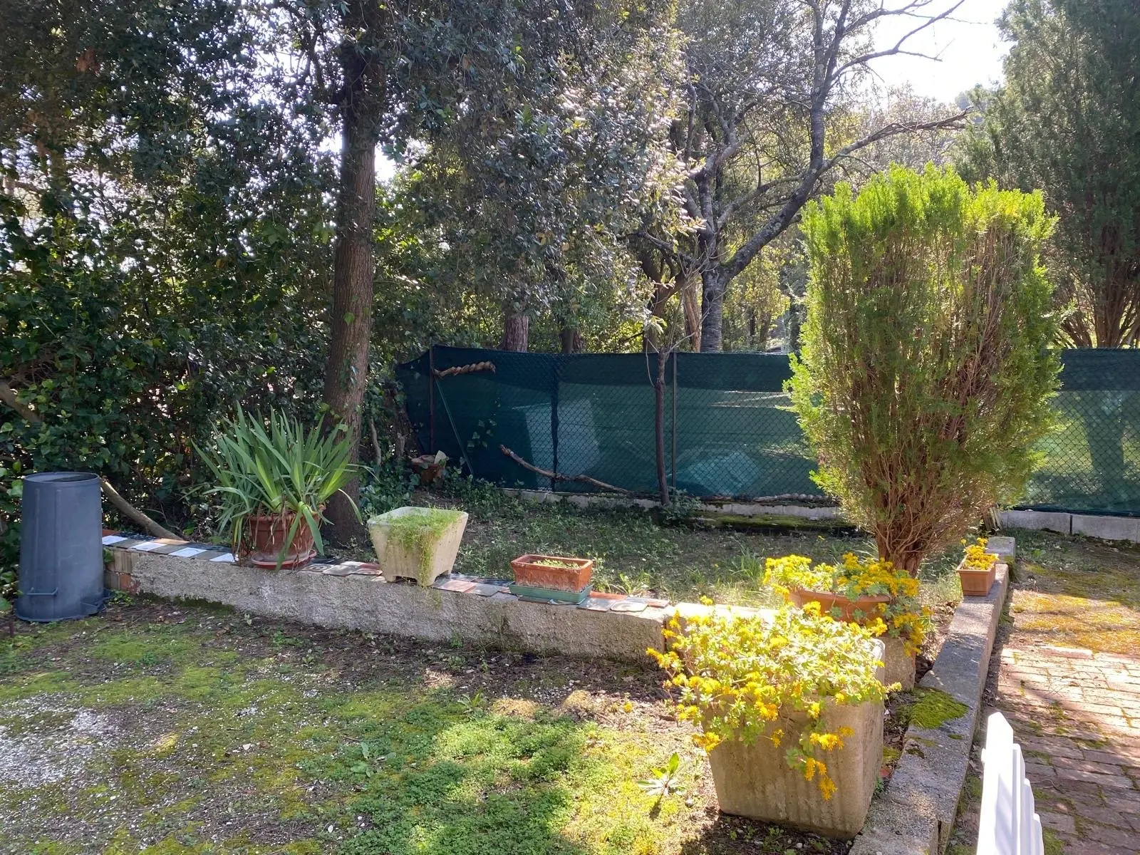 Immagine per Casale in vendita a Ancona via Massignano