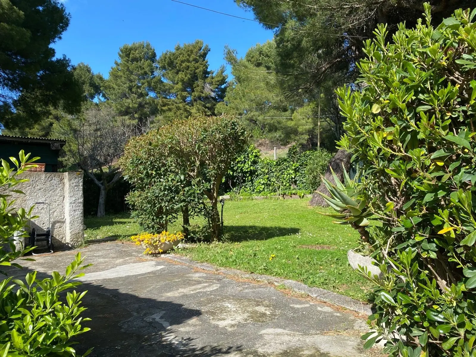 Immagine per Casale in vendita a Ancona via Massignano