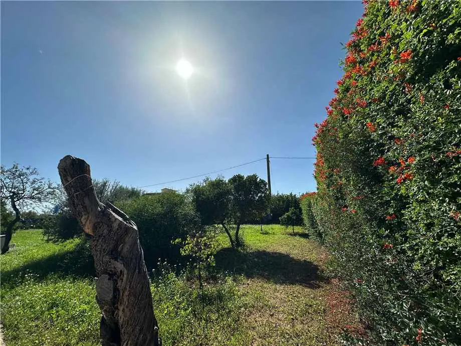 Immagine per Villa in vendita a Noto