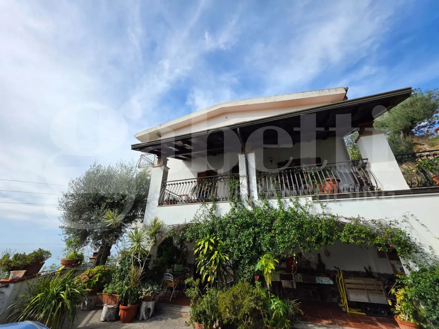 Immagine per Villa in vendita a Cetraro via San Giacomo 53