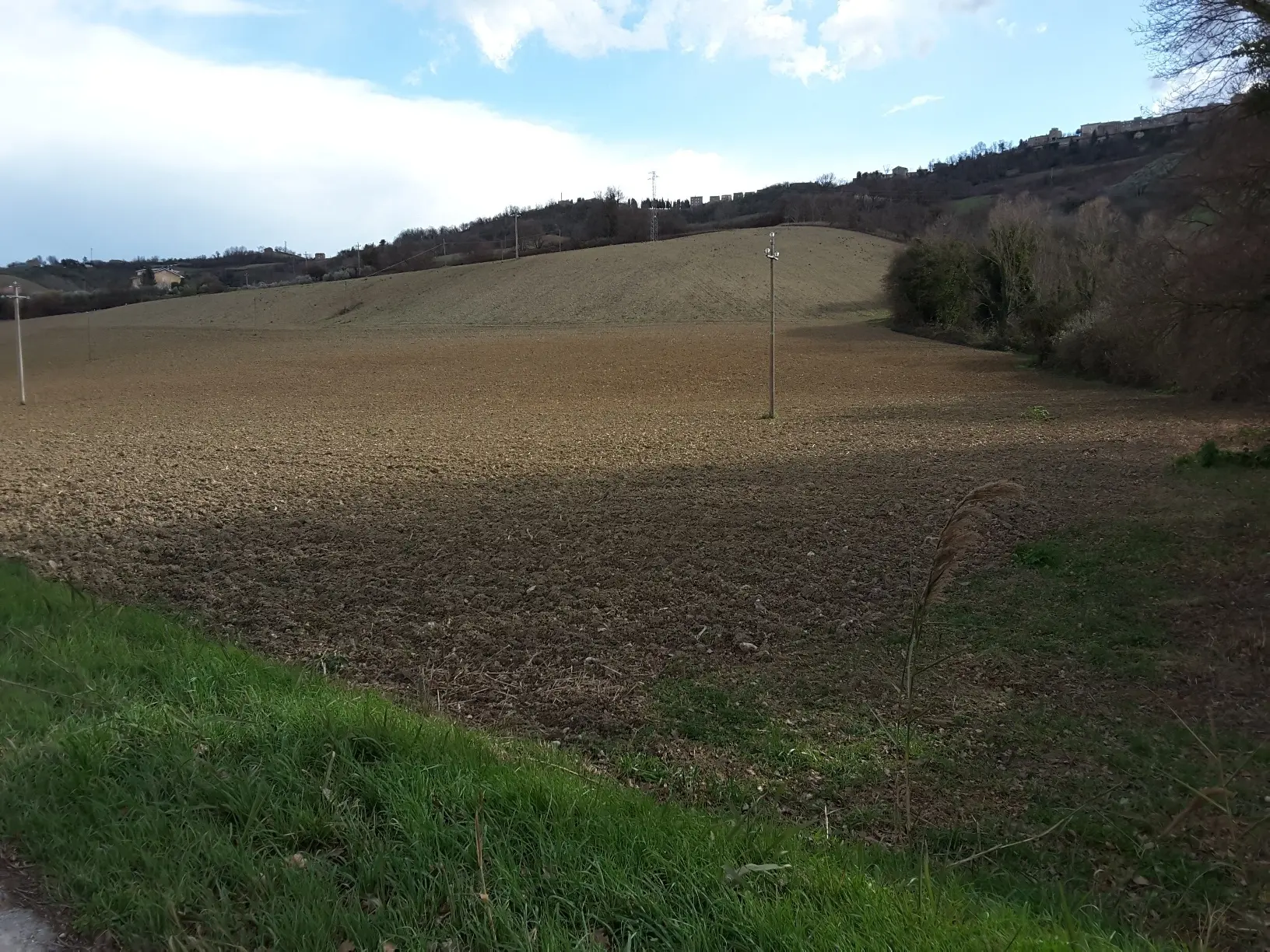Immagine per Agricolo in vendita a Carassai strada Provinciale 22