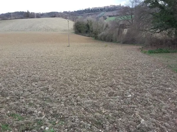 Immagine per Agricolo in vendita a Carassai strada Provinciale 22