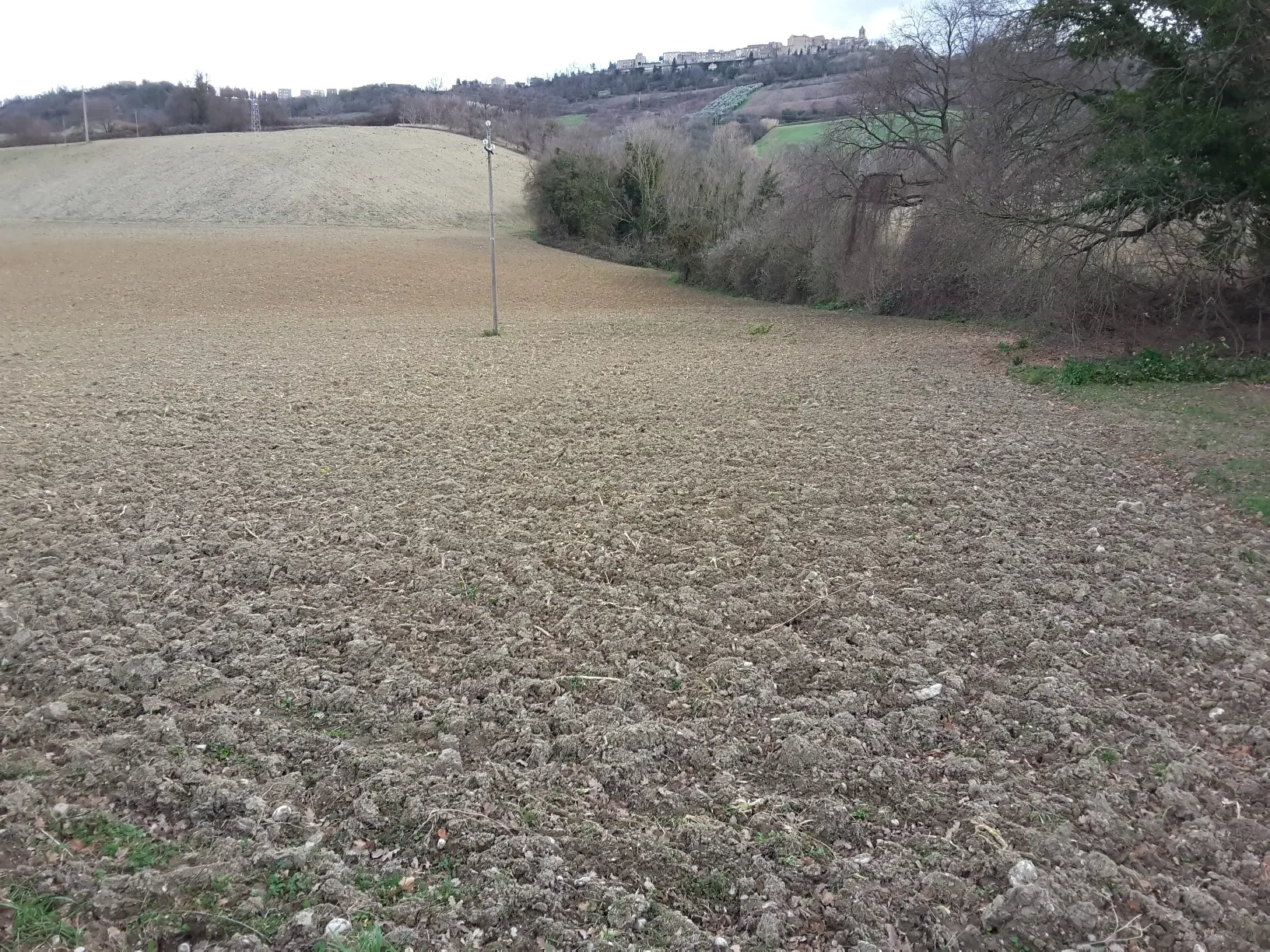 Immagine per Agricolo in vendita a Carassai strada Provinciale 22