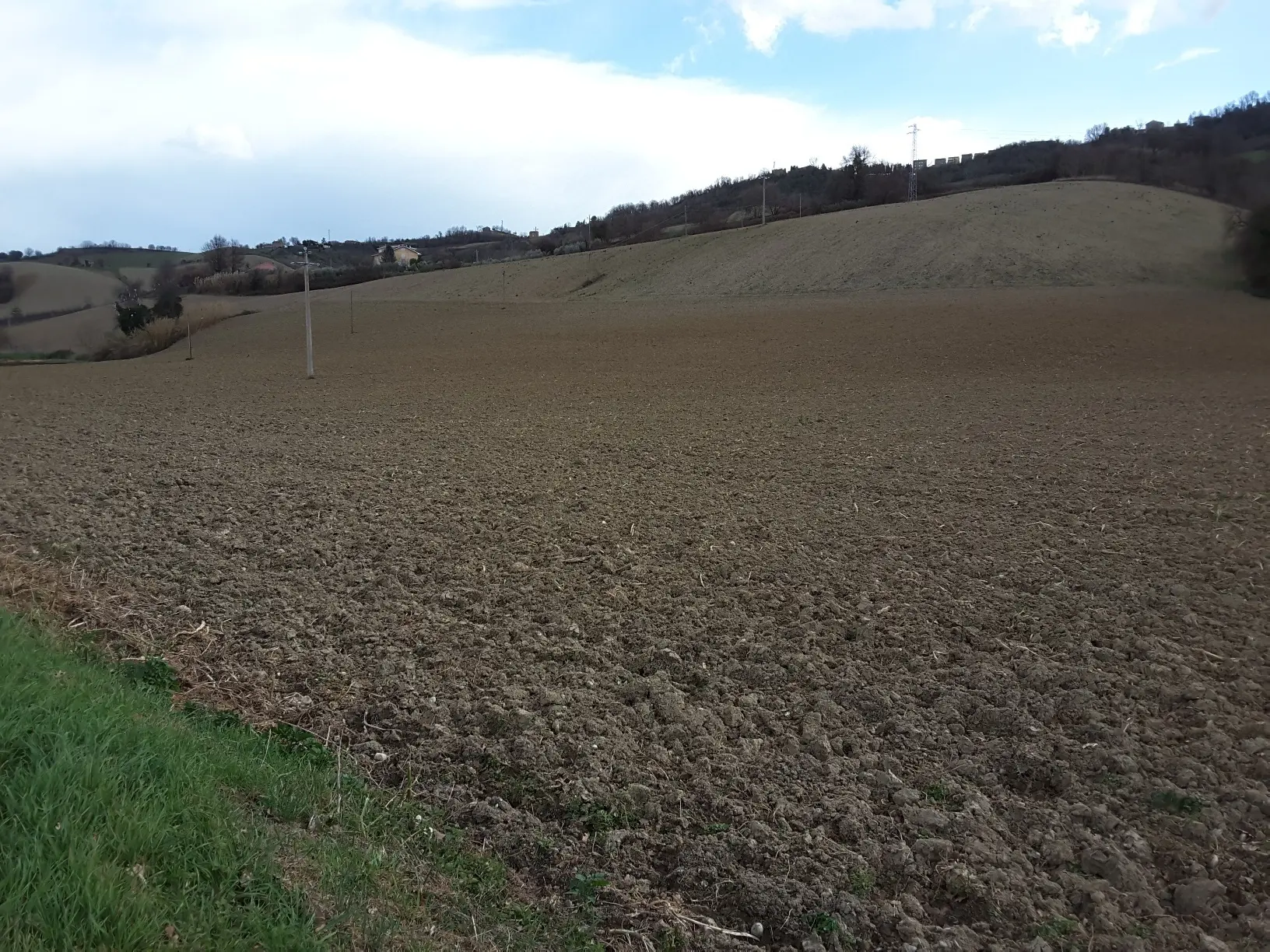 Immagine per Agricolo in vendita a Carassai strada Provinciale 22