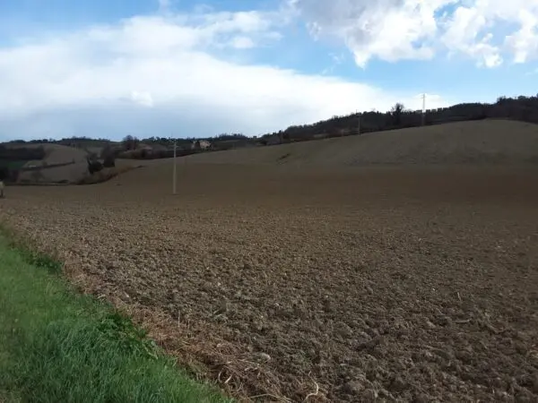 Immagine per Agricolo in vendita a Carassai strada Provinciale 22