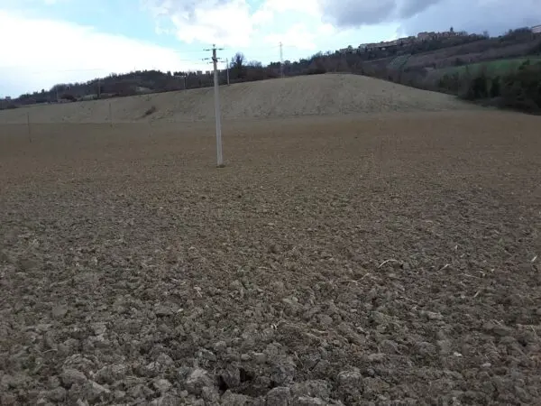 Immagine per Agricolo in vendita a Carassai strada Provinciale 22