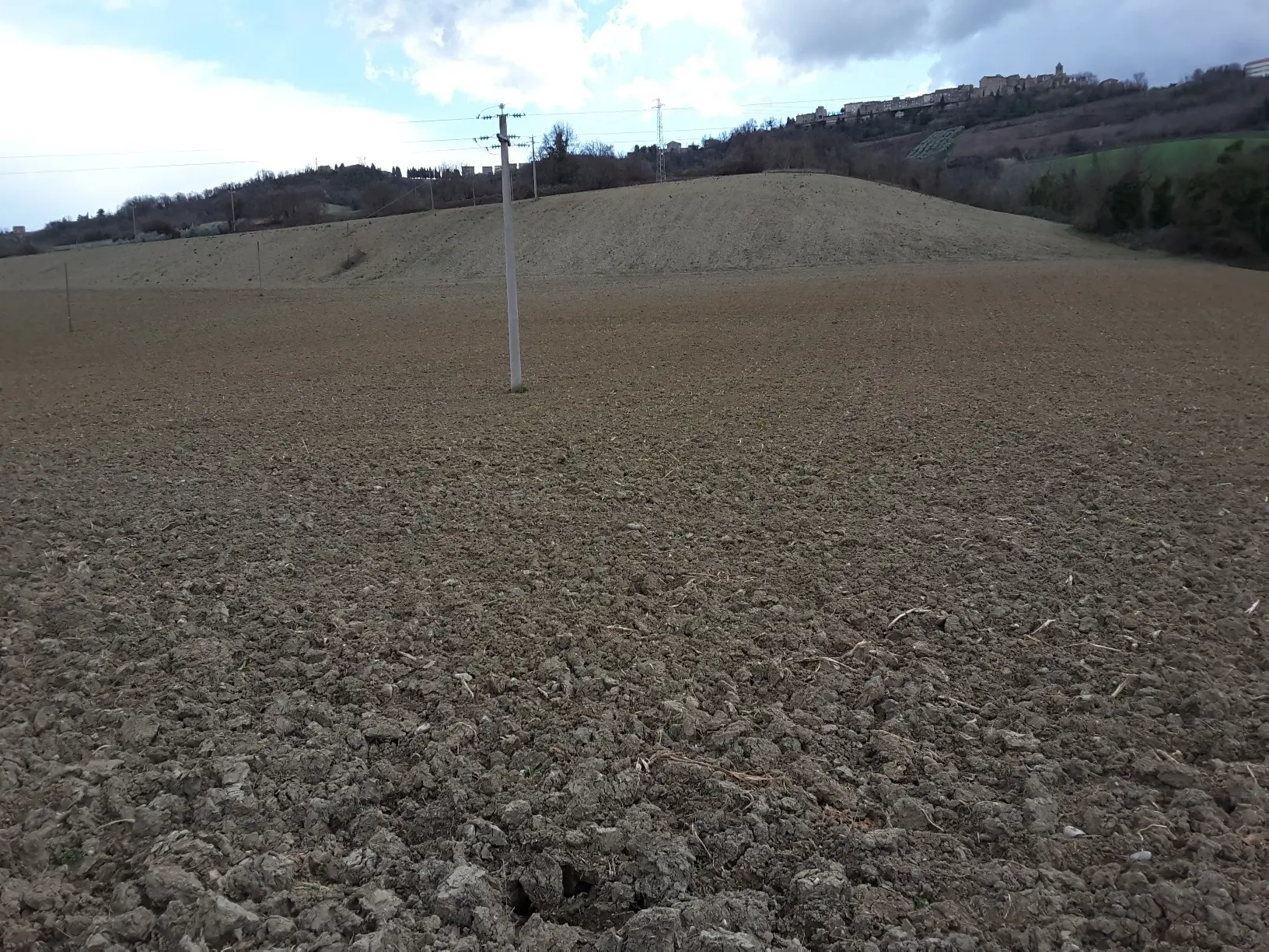 Immagine per Agricolo in vendita a Carassai strada Provinciale 22