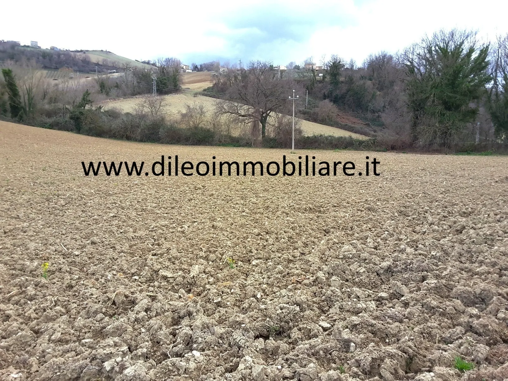 Immagine per Agricolo in vendita a Carassai strada Provinciale 22