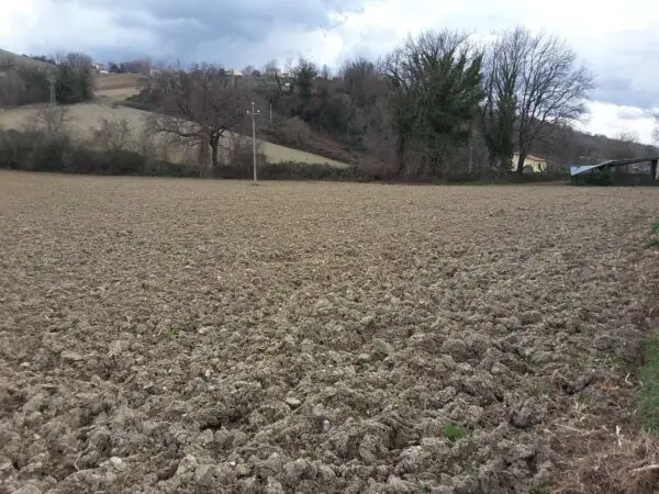 Agricolo strada Provinciale 22, Carassai