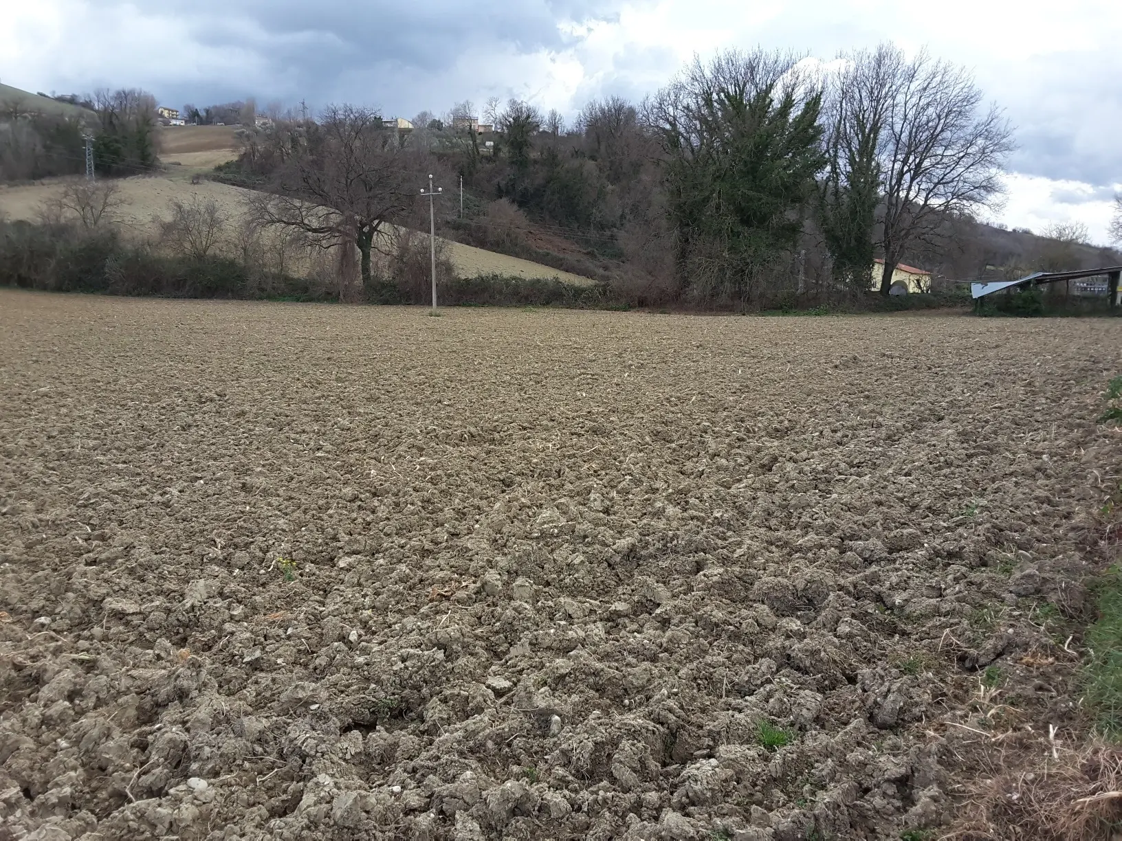 Immagine per Agricolo in vendita a Carassai strada Provinciale 22
