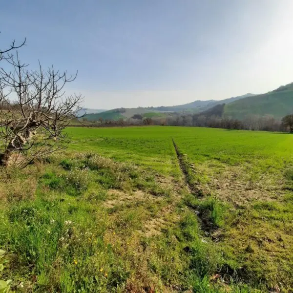 Villa Trifamiliare via Contrada Case Rosse, Ripatransone
