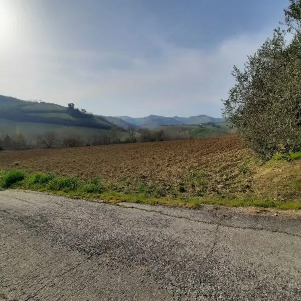 Villa Trifamiliare via Contrada Case Rosse, Ripatransone