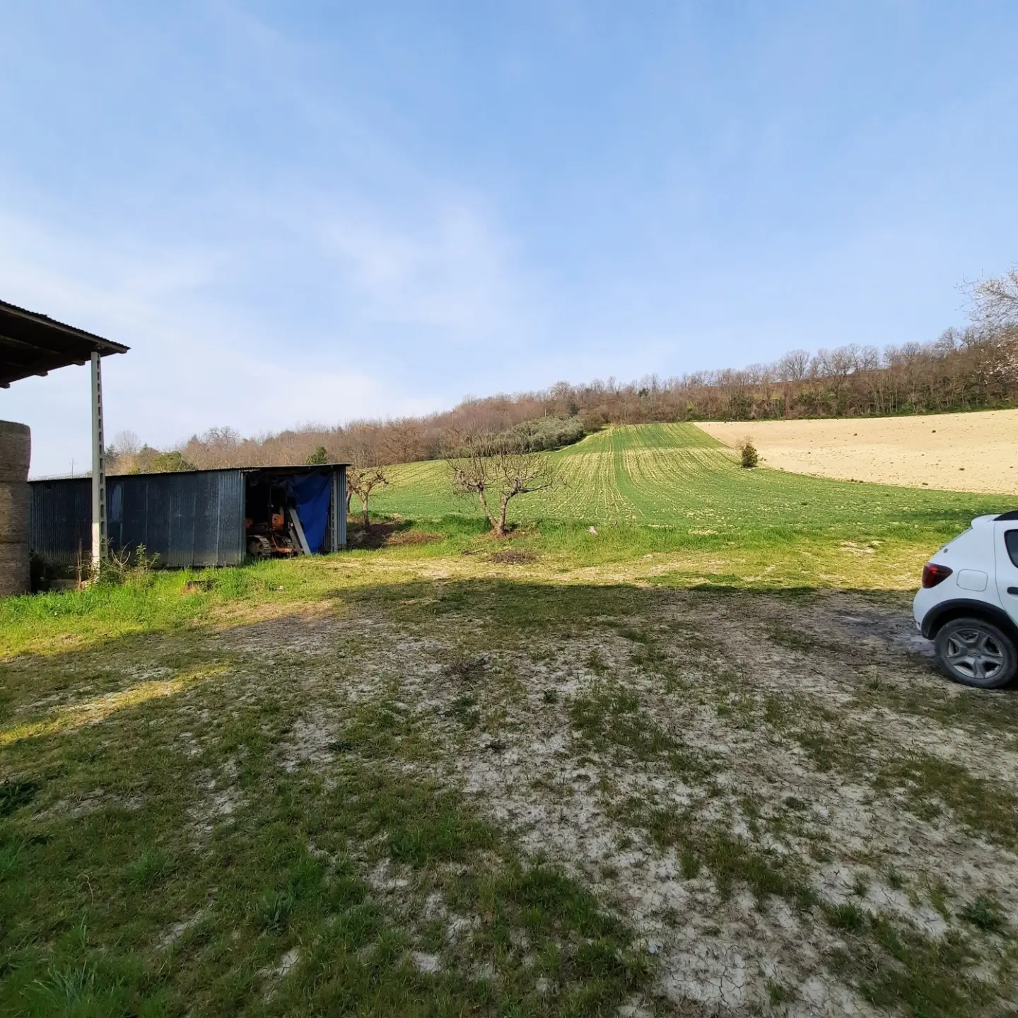 Immagine per Villa trifamiliare in vendita a Ripatransone via Contrada Case Rosse