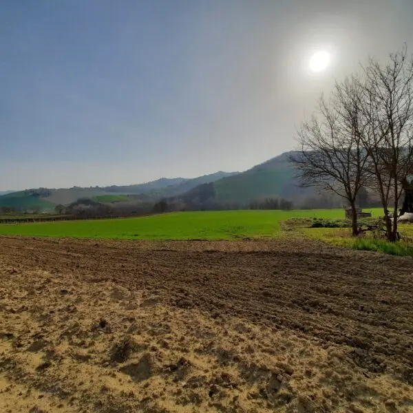 Villa Trifamiliare via Contrada Case Rosse, Ripatransone