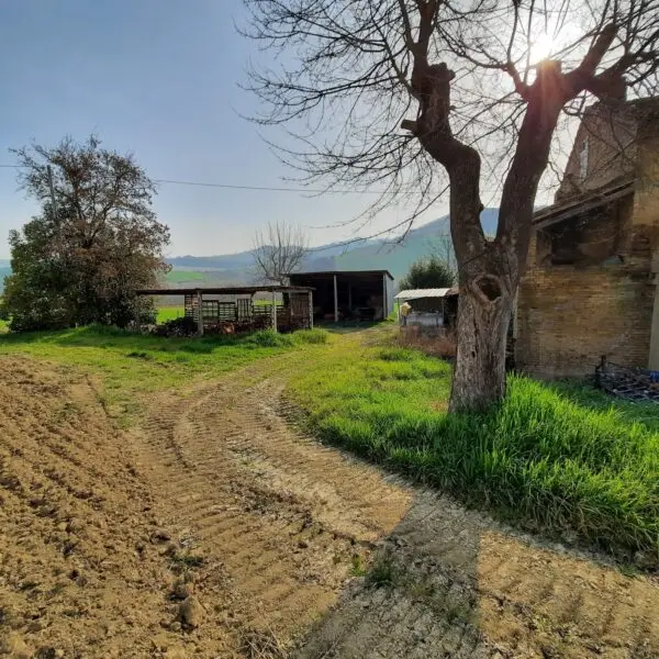 Villa Trifamiliare via Contrada Case Rosse, Ripatransone