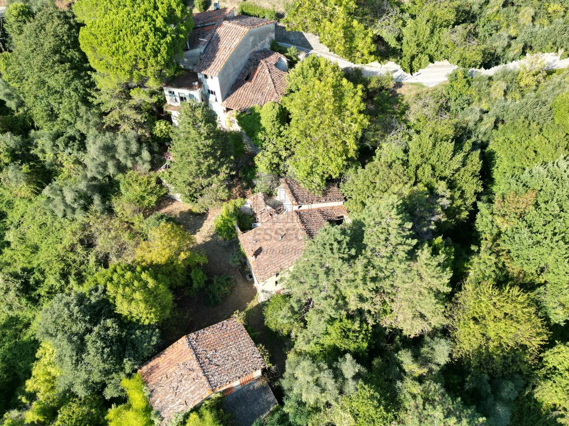 Immagine per Casale in vendita a Lucca via Del Colle 355/E