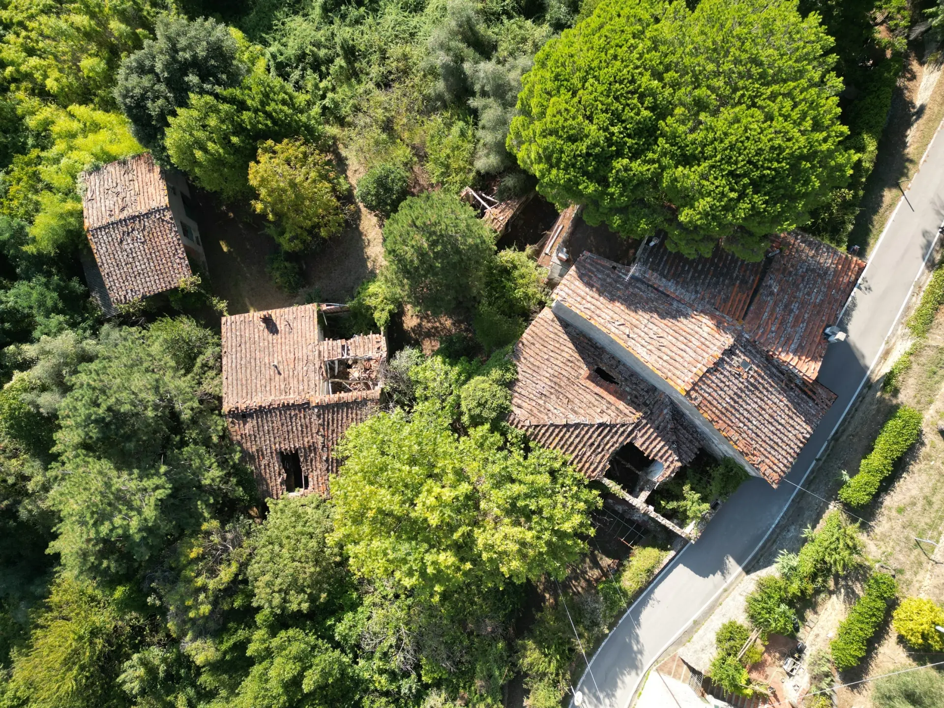 Immagine per Casale in vendita a Lucca via Del Colle 355/E
