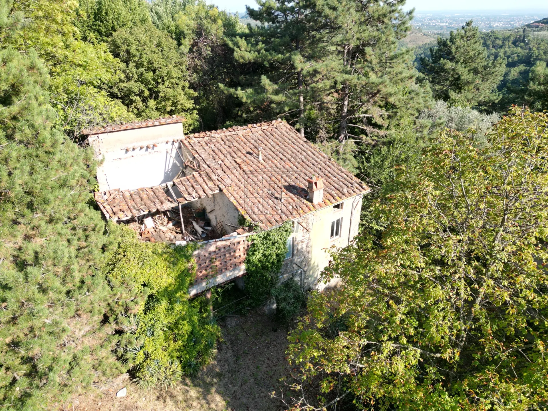 Immagine per Casale in vendita a Lucca via Del Colle 355/E