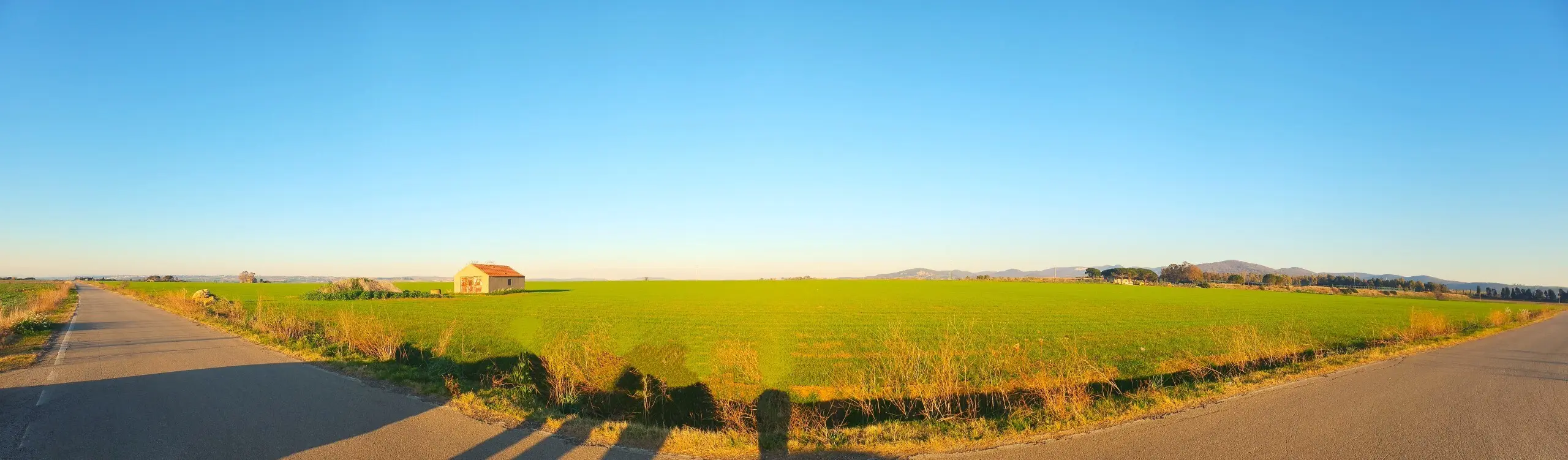 Immagine per Industriale in vendita a Tarquinia strada Vicinale Di Scorticagatti 8