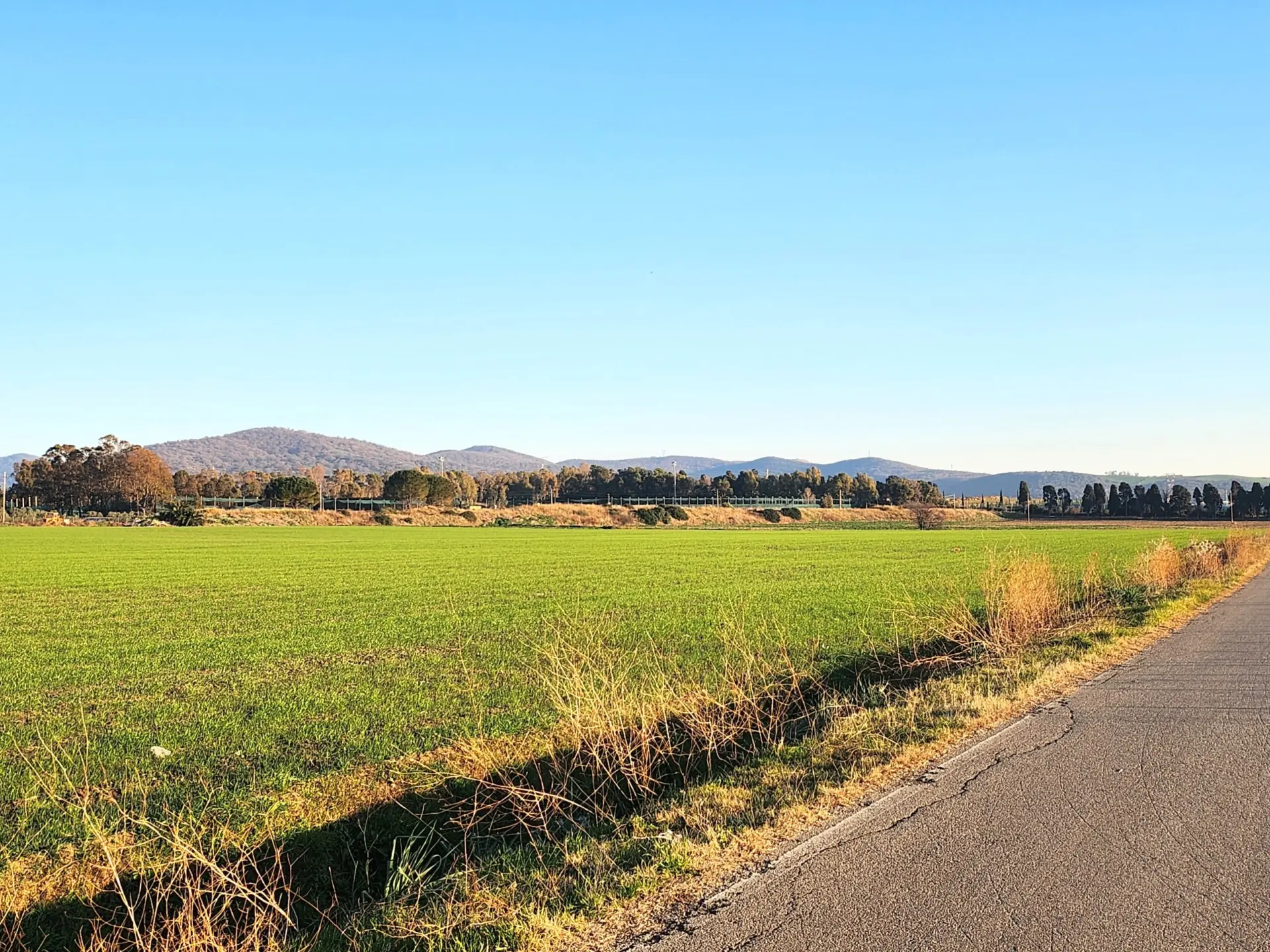Immagine per Industriale in vendita a Tarquinia strada Vicinale Di Scorticagatti 8