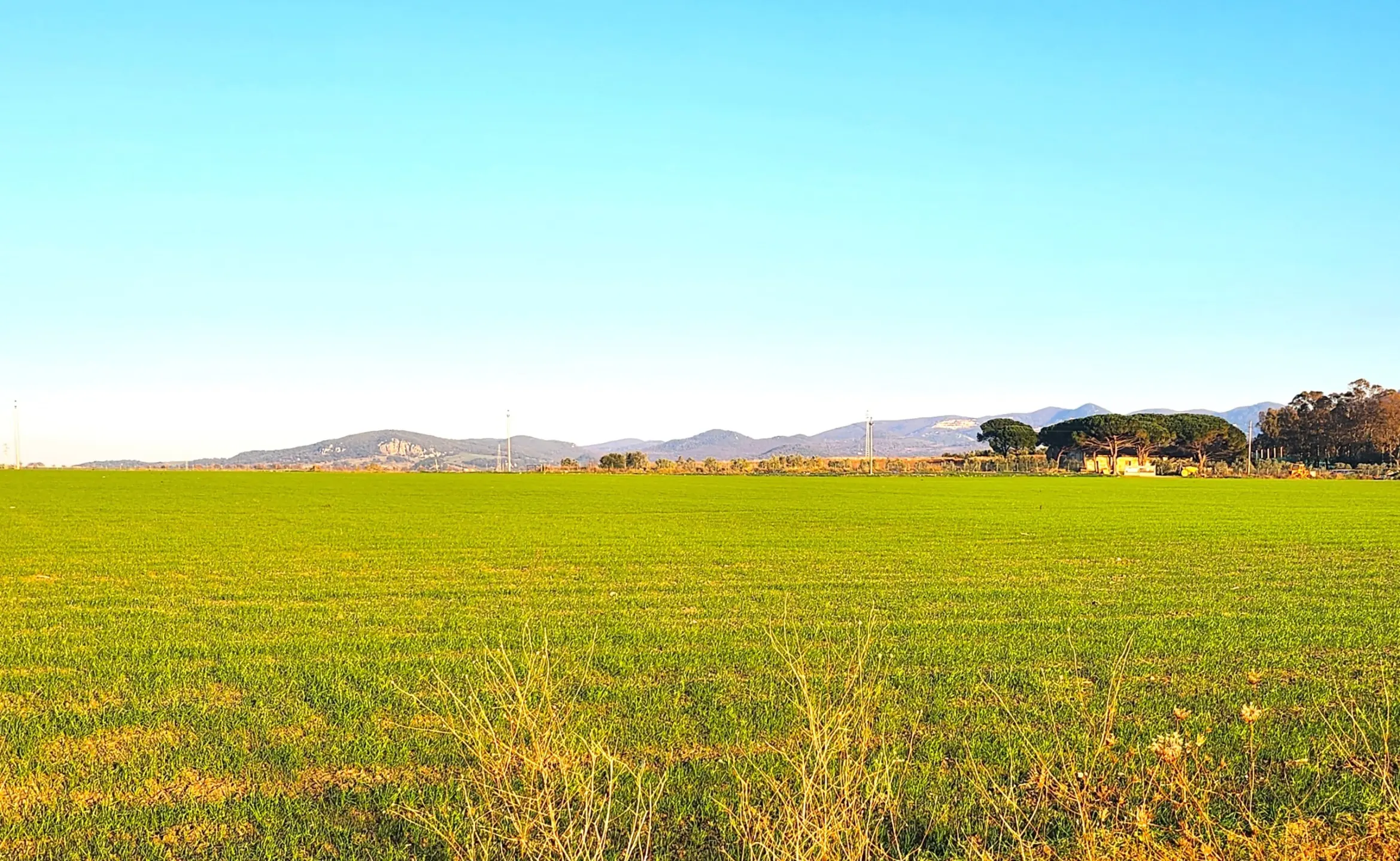 Immagine per Industriale in vendita a Tarquinia strada Vicinale Di Scorticagatti 8