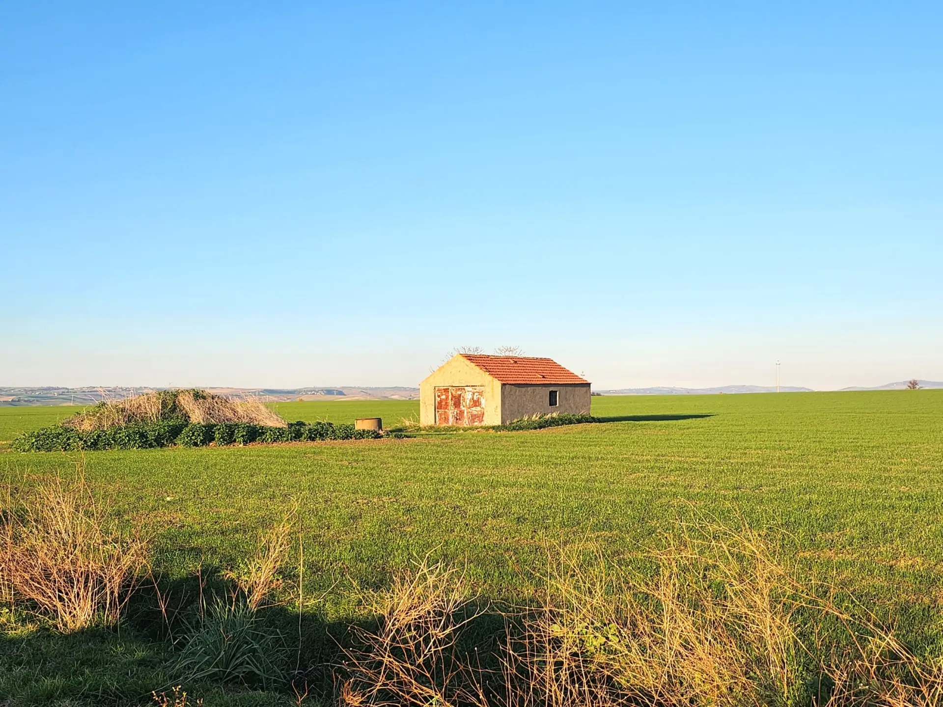 Immagine per Industriale in vendita a Tarquinia strada Vicinale Di Scorticagatti 8