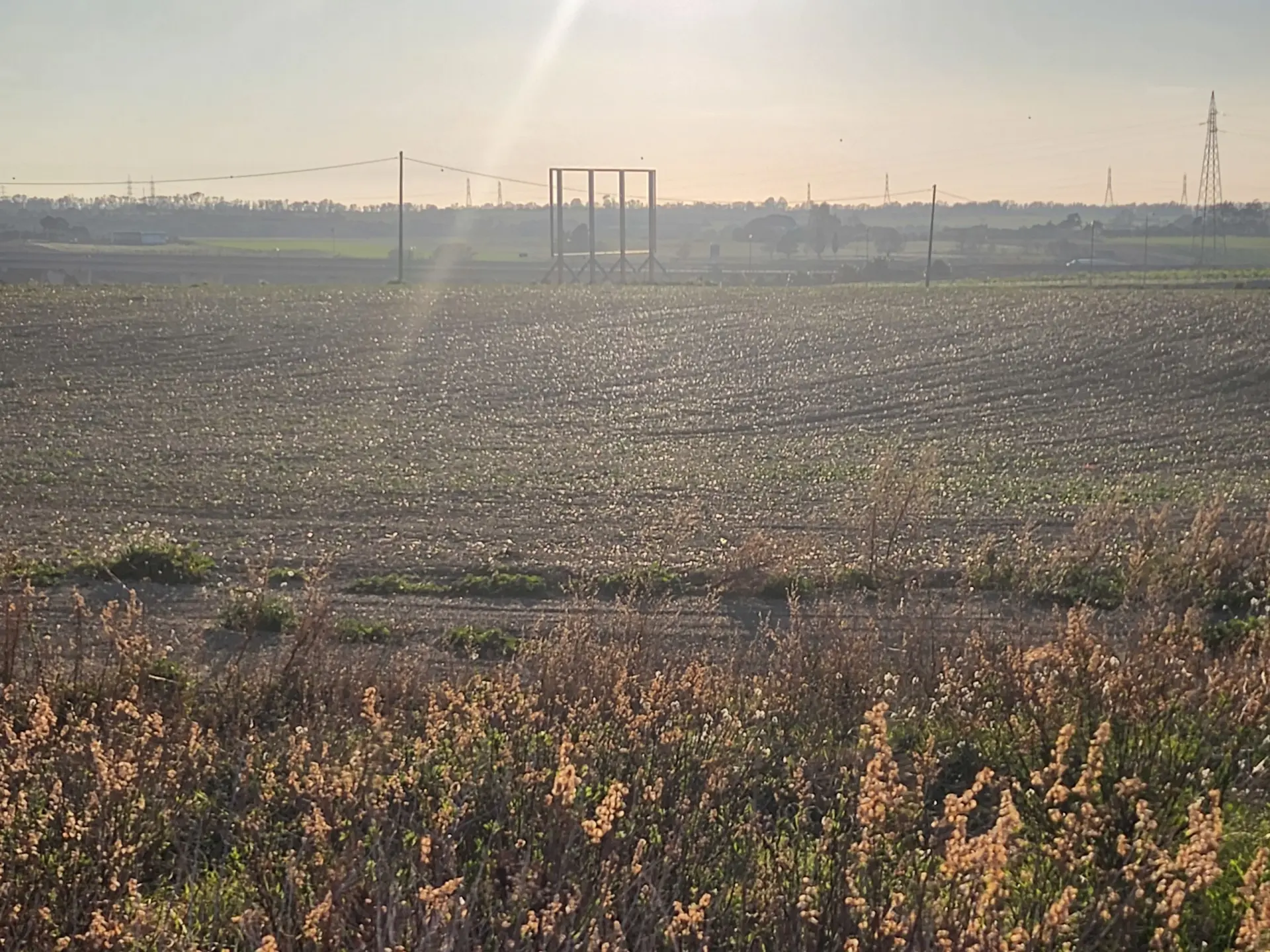 Immagine per Industriale in vendita a Tarquinia strada Vicinale Di Scorticagatti 8