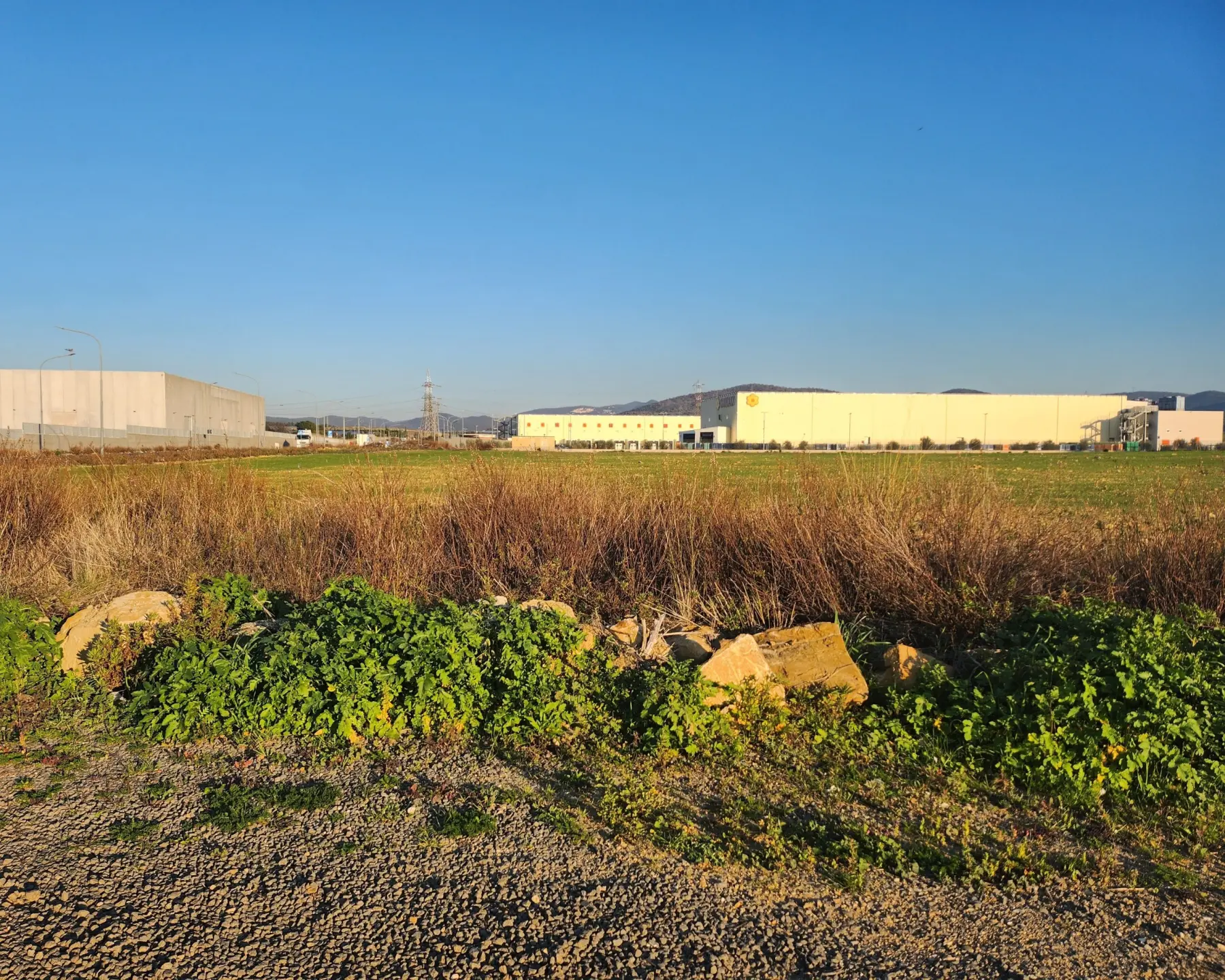 Immagine per Industriale in vendita a Tarquinia strada Vicinale Di Scorticagatti 8