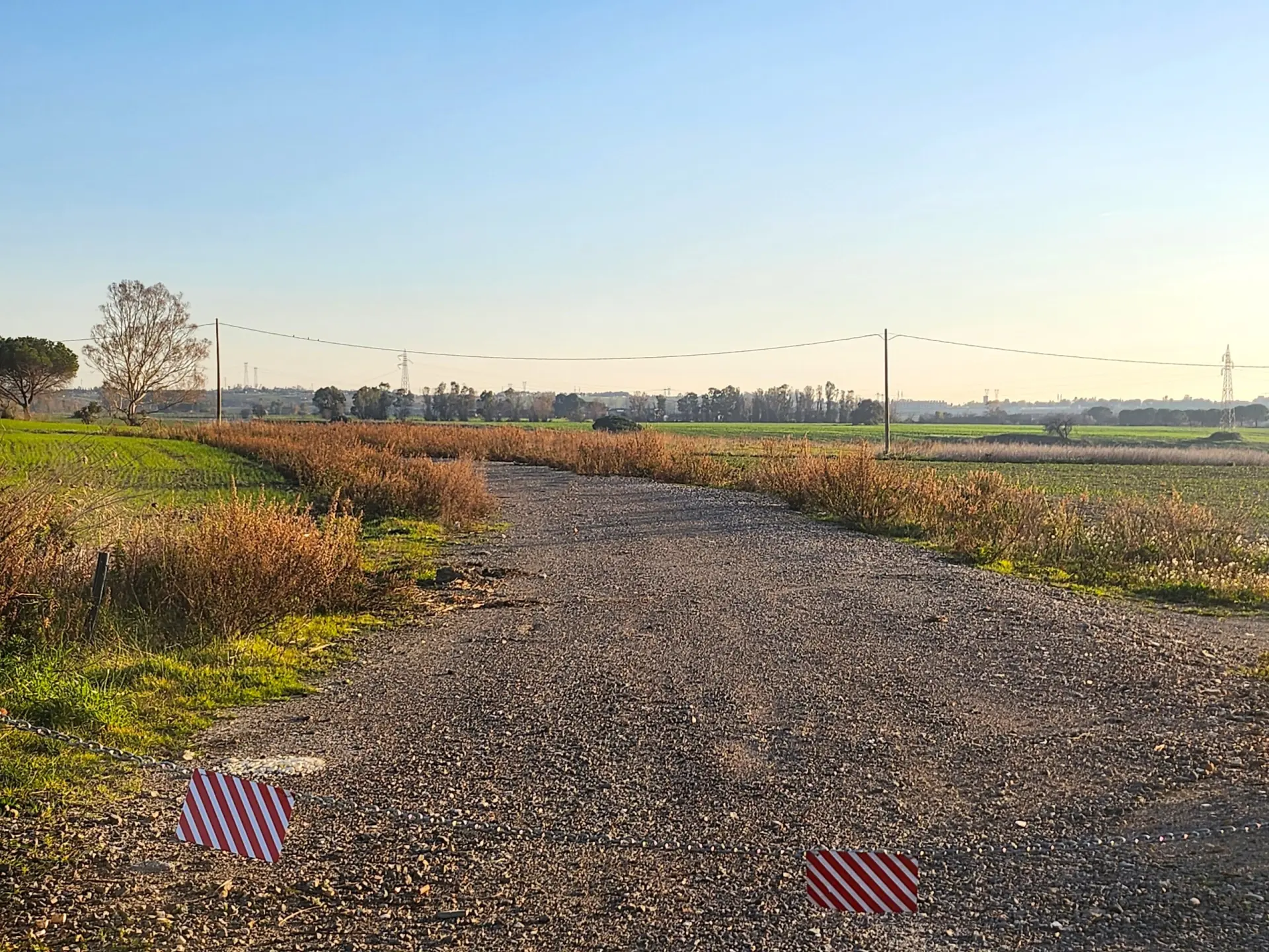 Immagine per Industriale in vendita a Tarquinia strada Vicinale Di Scorticagatti 8