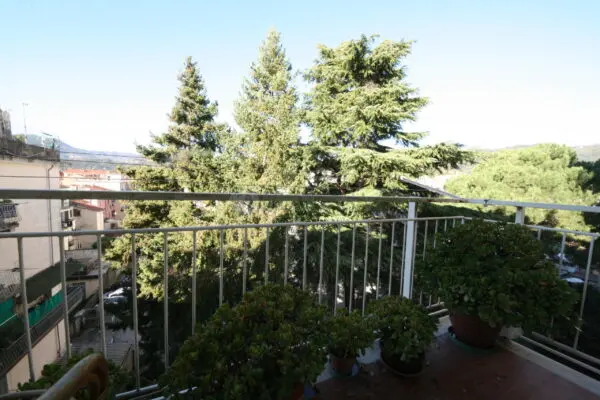 Monolocale via Sarzana 161, La Spezia