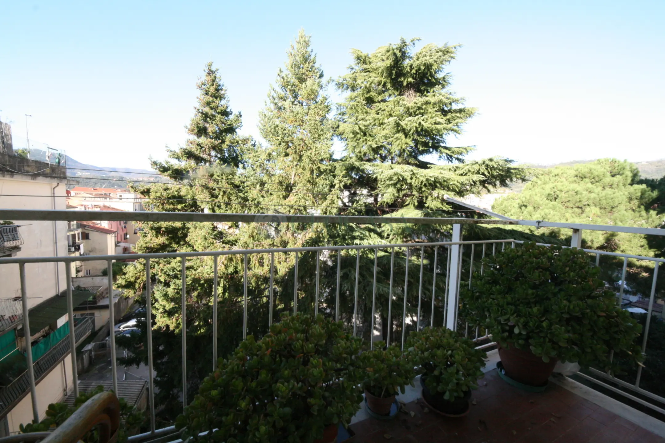 Immagine per Monolocale in vendita a La Spezia via Sarzana 161