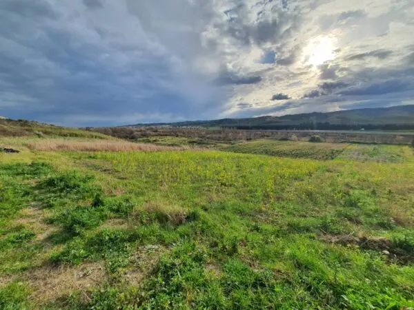 Terreno Agricolo viale Europa Snc, Catanzaro