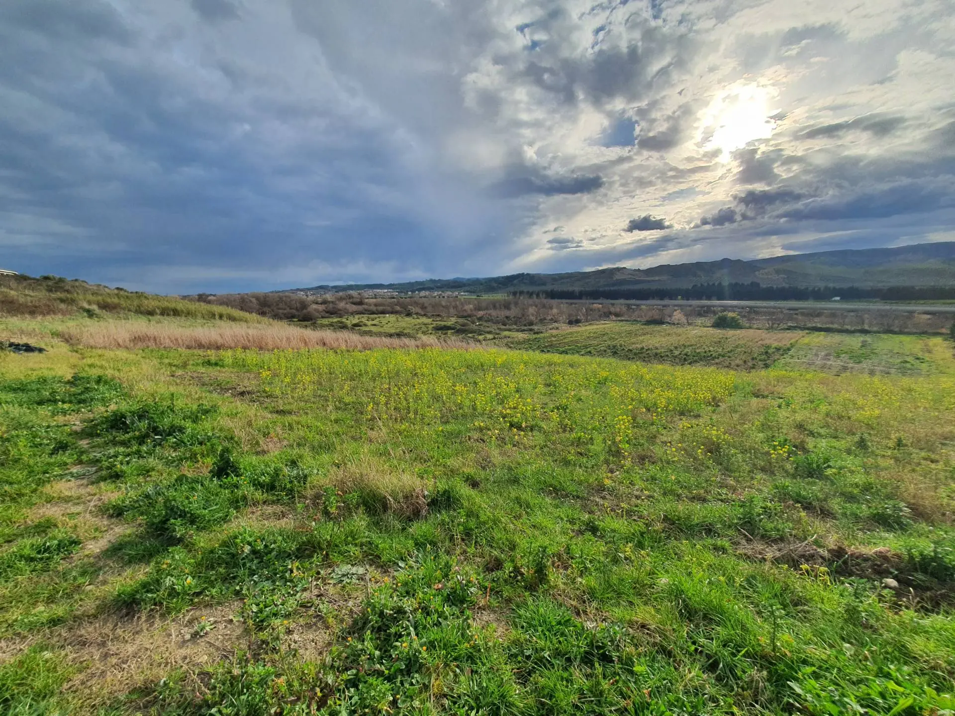 Immagine per Terreno Agricolo in vendita a Catanzaro Viale Europa snc